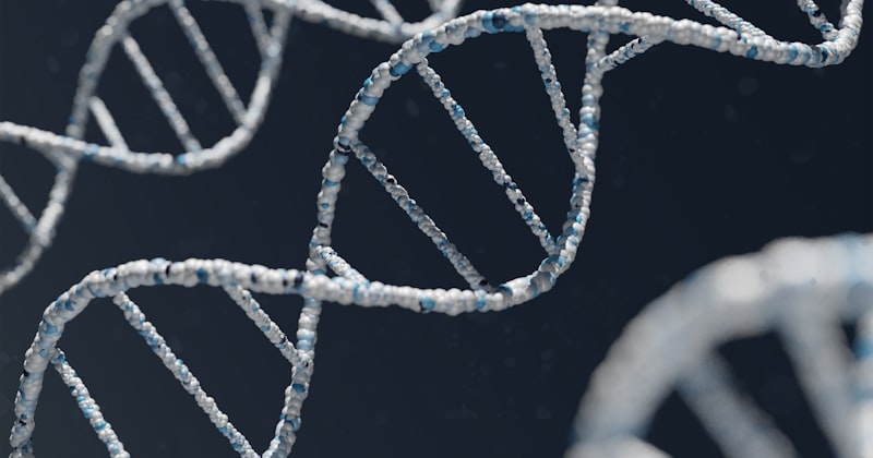 How Discovering an MTHFR Variant Can Change Everything